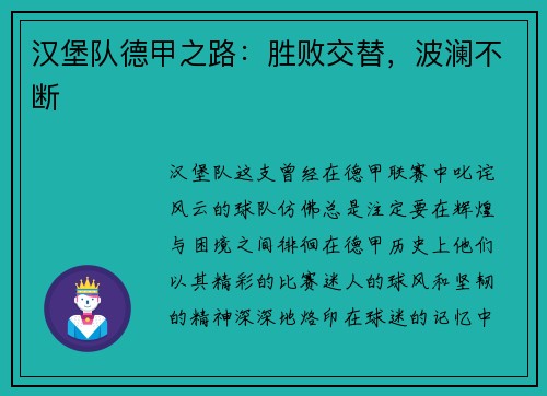 汉堡队德甲之路：胜败交替，波澜不断